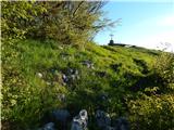 Col - Križna gora above Col